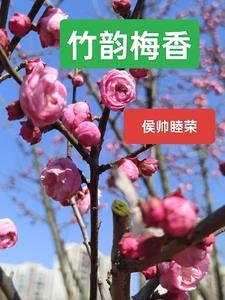 深处有什么二