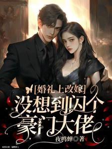 合约夫夫扫文
