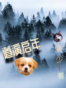 人偶一览