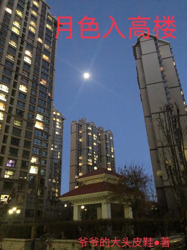 西装革履的履什么意思