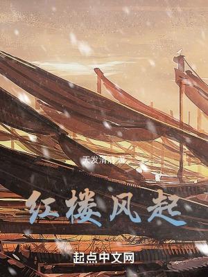 红楼风起 红楼风起