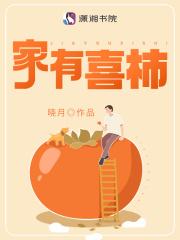 彩虹边境阅读