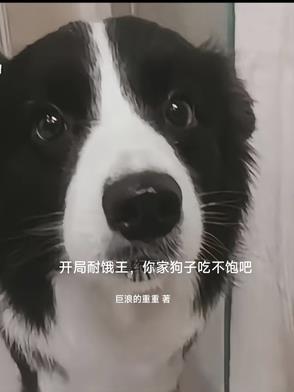 一个人的田园生活 百度