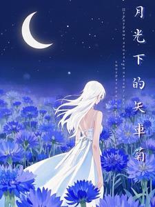 少帅夫人要退婚无弹窗